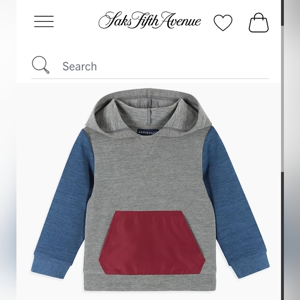Andy & Evan Boy's, Little Boy's & Boy's Double Peached Colorblocked Hoodie
